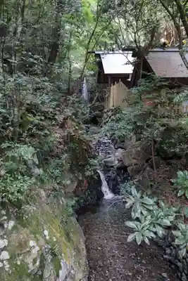 多度大社の本殿・本堂