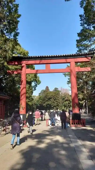 武蔵一宮氷川神社の鳥居