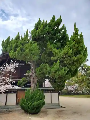 御厨神社の自然