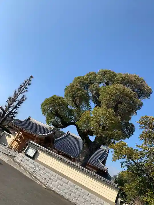萬行寺のその他建物