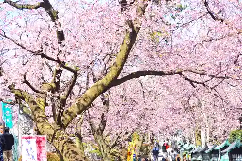 密藏院(埼玉県)
