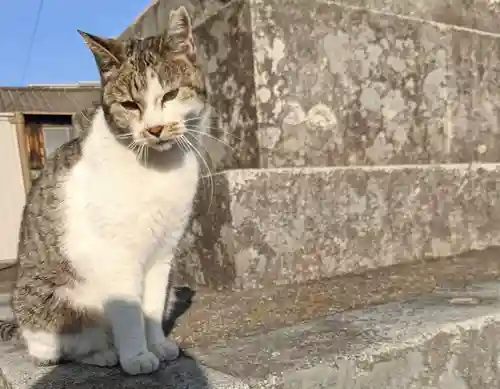 石清尾八幡宮の動物