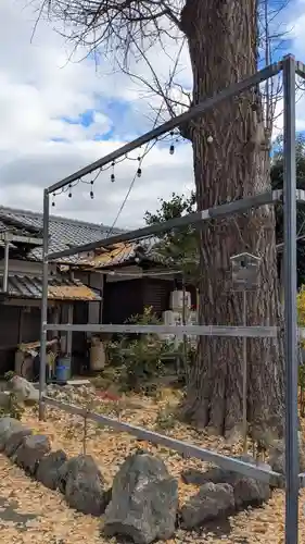 縣神社(京都府)