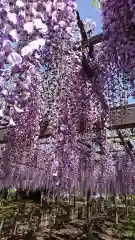 玉敷神社の庭園