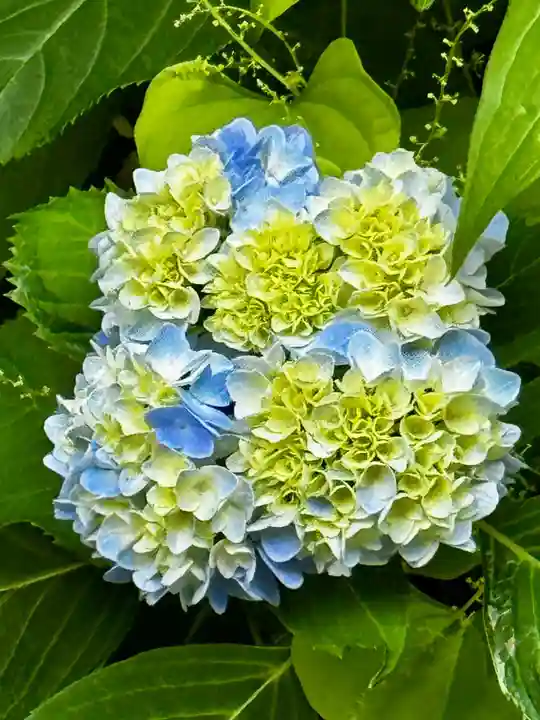 刈田嶺神社(宮城県)