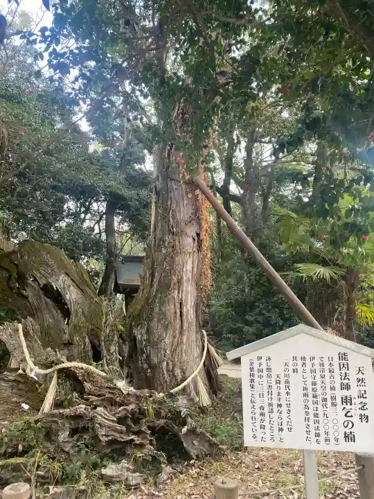 大山祇神社の{uncategorized: "未分類", other: "その他", undefined: "問題あり", building: "その他建物", grave: "お墓", sacred_gate: "鳥居", guardian: "狛犬", statue: "像", buddha: "仏像", history: "歴史", nature: "自然", garden: "庭園", animal: "動物", pagoda: "塔", temizu: "手水舎", mountain_gate: "山門・神門", sanctuary: "本殿・本堂", subordinate: "末社・摂社", art: "芸術", scenery: "景色", jizo: "地蔵", ema: "絵馬", goshuin: "御朱印", omikuji: "おみくじ", items: "授与品その他", amulet: "お守り", goshuincho: "御朱印帳", eats: "食事", festival: "お祭り", votive_dance: "神楽", shichigosan: "七五三参", wedding: "結婚式", experience: "体験その他", initially: "初詣", around: "周辺", anti_infection: "感染症対策"}