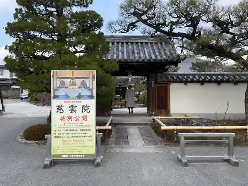 慈雲院(京都府)