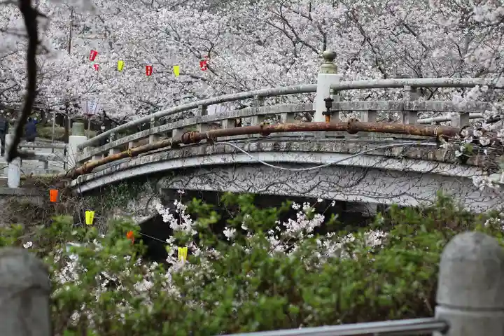 橘神社(長崎県)