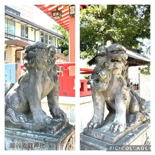 越谷香取神社の狛犬