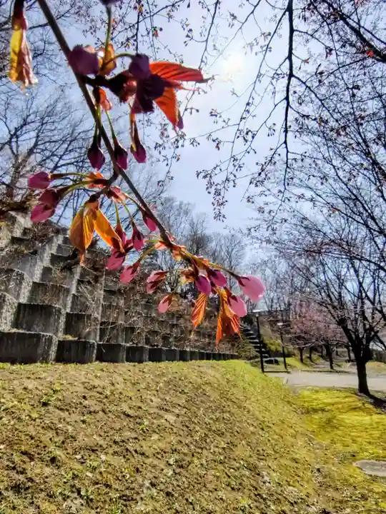 厚別神社(北海道)