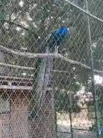 岩槻久伊豆神社(埼玉県)