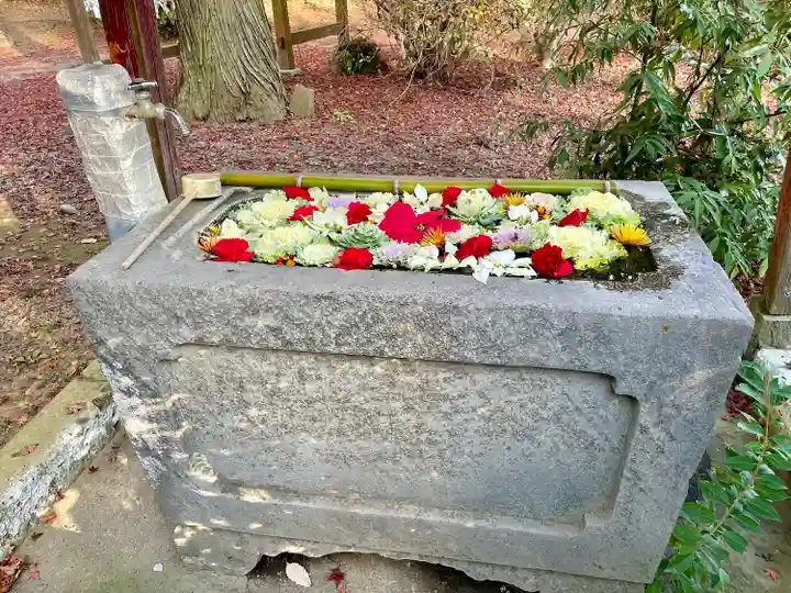 千代ケ岡八幡宮(栃木県)