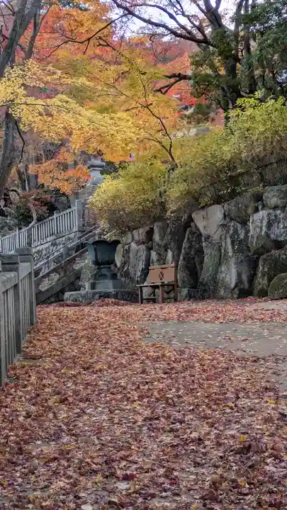 柳谷観音 楊谷寺(京都府)