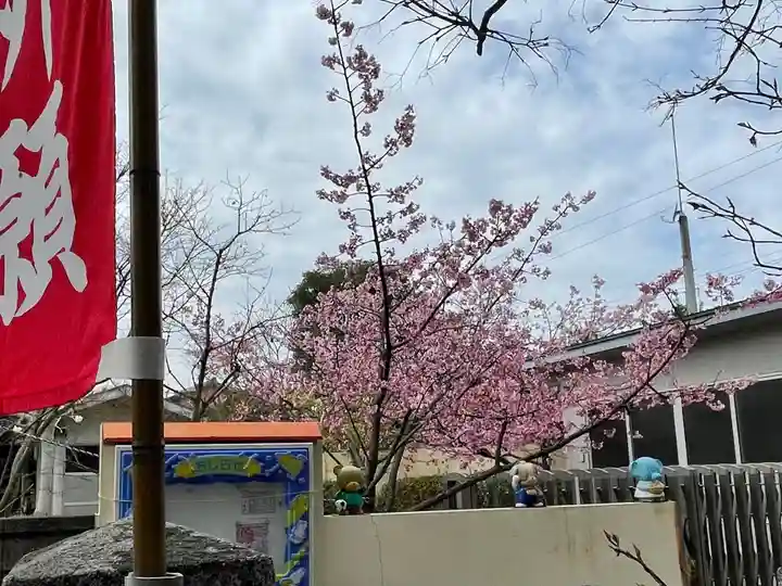 粟島神社の自然
