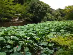 御髪神社(京都府)