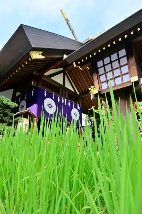 東京大神宮(東京都)