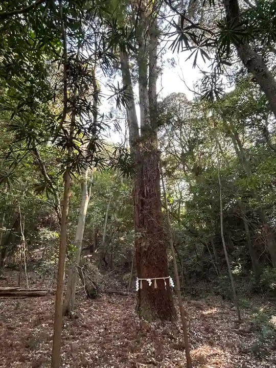 星田妙見宮(大阪府)