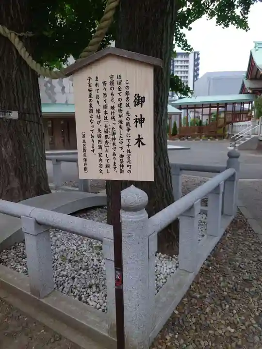千住神社の自然