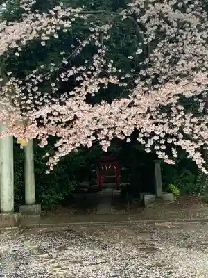前玉神社(埼玉県)