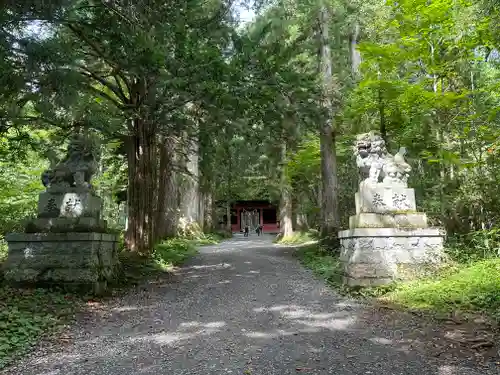 戸隠神社奥社の狛犬