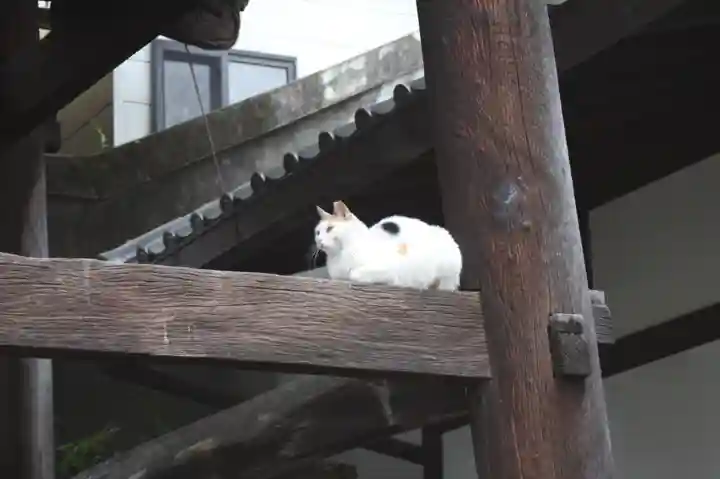 行願寺(革堂)(京都府)
