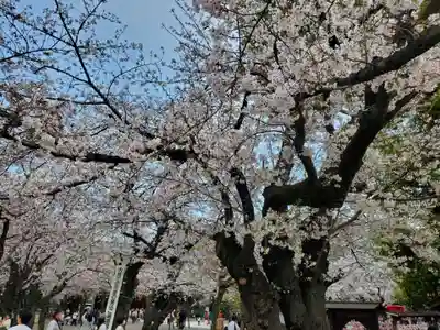靖國神社(東京都)