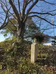 住吉神社の自然