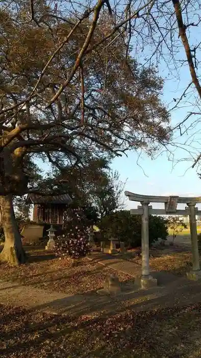 相野谷八幡神社の鳥居