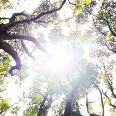 沼尾神社の自然