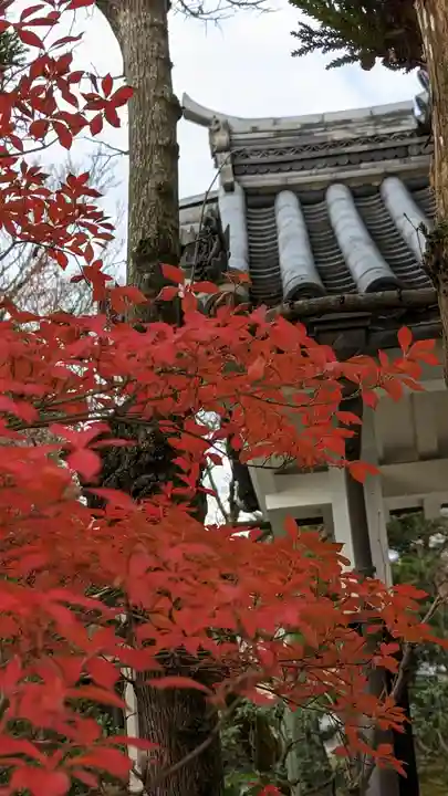 法金剛院(京都府)