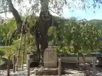 玉泉寺(岐阜県)