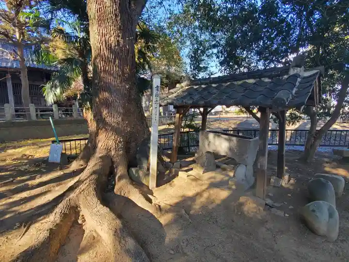 楠木神社(群馬県)