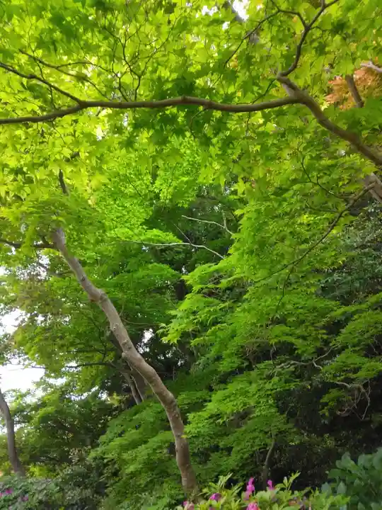 當麻寺中之坊(奈良県)