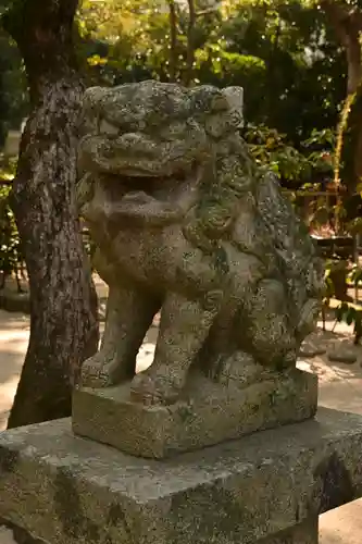 筥崎宮(福岡県)