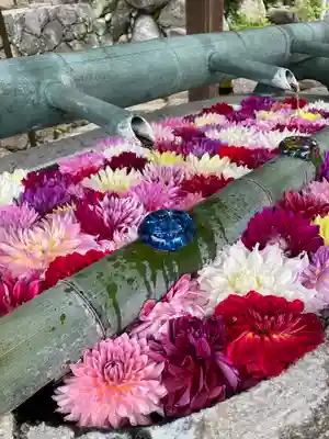 岡寺（龍蓋寺）の手水舎