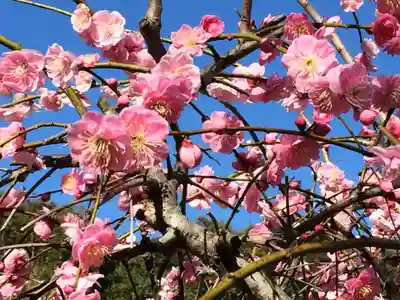 綱敷天満宮(福岡県)