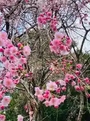 岡見八坂神社(茨城県)