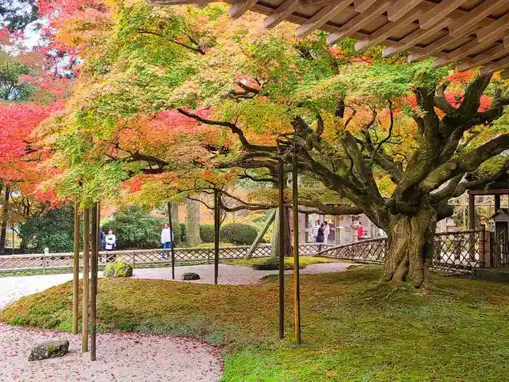 千如寺大悲王院(福岡県)