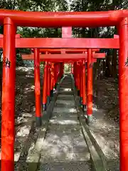 高鴨神社の鳥居