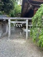 老津神社(愛知県)