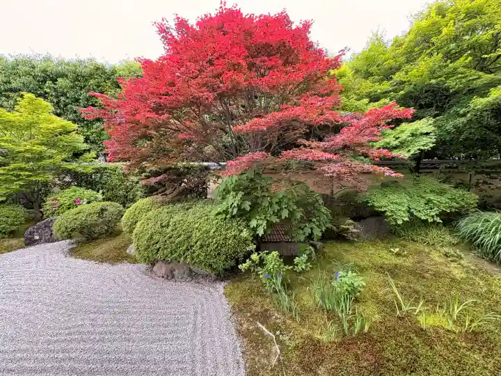 興臨院の{uncategorized: "未分類", other: "その他", undefined: "問題あり", building: "その他建物", grave: "お墓", sacred_gate: "鳥居", guardian: "狛犬", statue: "像", buddha: "仏像", history: "歴史", nature: "自然", garden: "庭園", animal: "動物", pagoda: "塔", temizu: "手水舎", mountain_gate: "山門・神門", sanctuary: "本殿・本堂", subordinate: "末社・摂社", art: "芸術", scenery: "景色", jizo: "地蔵", ema: "絵馬", goshuin: "御朱印", omikuji: "おみくじ", items: "授与品その他", amulet: "お守り", goshuincho: "御朱印帳", eats: "食事", festival: "お祭り", votive_dance: "神楽", shichigosan: "七五三参", wedding: "結婚式", experience: "体験その他", initially: "初詣", around: "周辺", anti_infection: "感染症対策"}