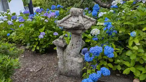 妙心寺の建物その他