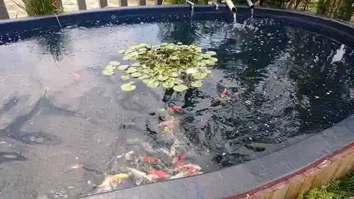 栗橋八坂神社(埼玉県)