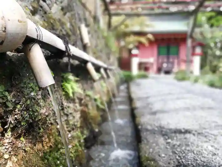 富士山本宮浅間大社の手水舎