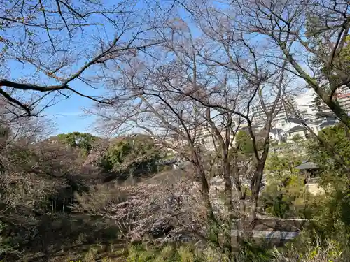 天台宗　長窪山　正覚寺の自然