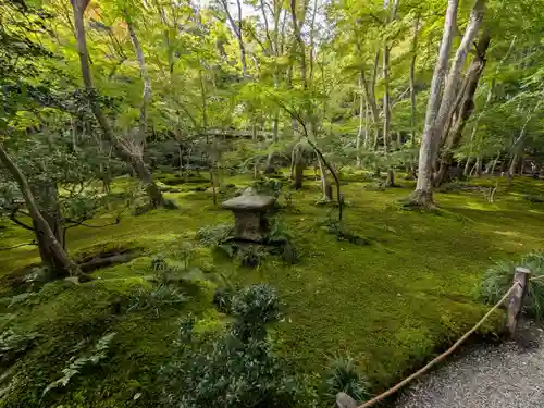 祇王寺(京都府)