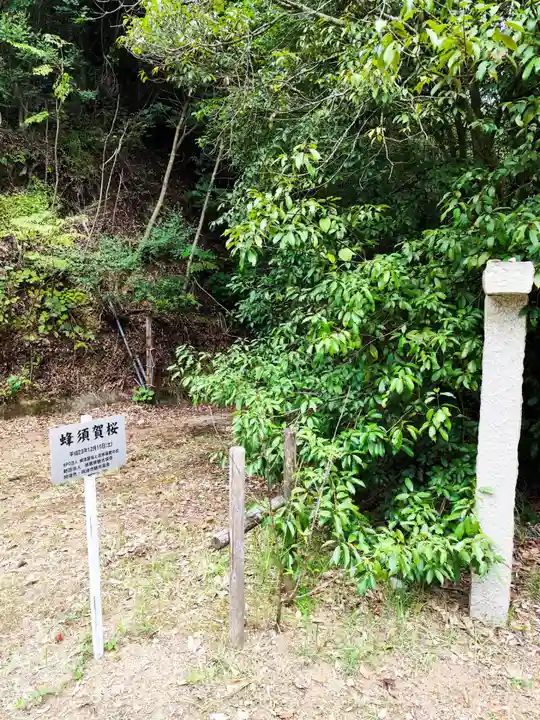 切幡寺(徳島県)