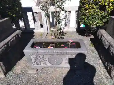 元町厳島神社の手水舎