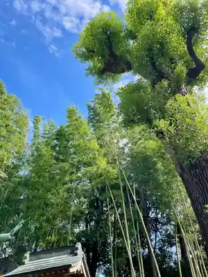 鷺宮八幡神社(東京都)