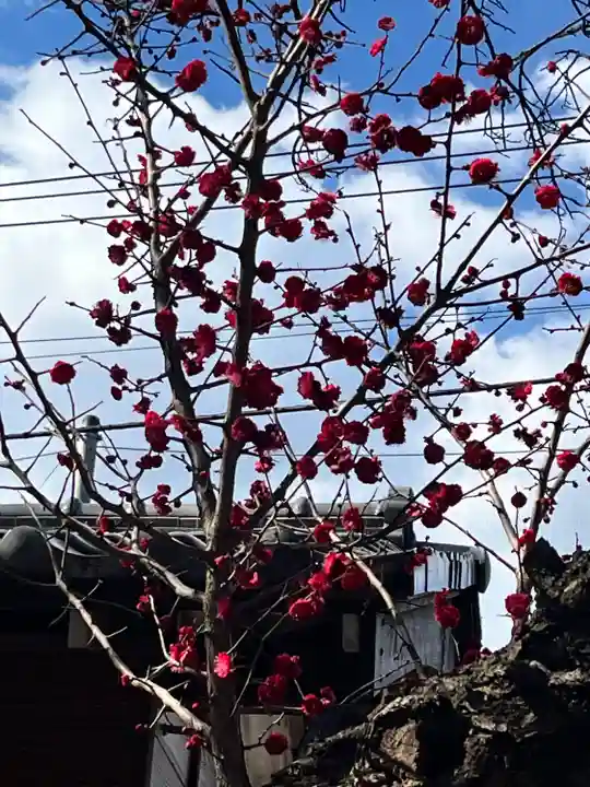 大宮・大原神社(千葉県)